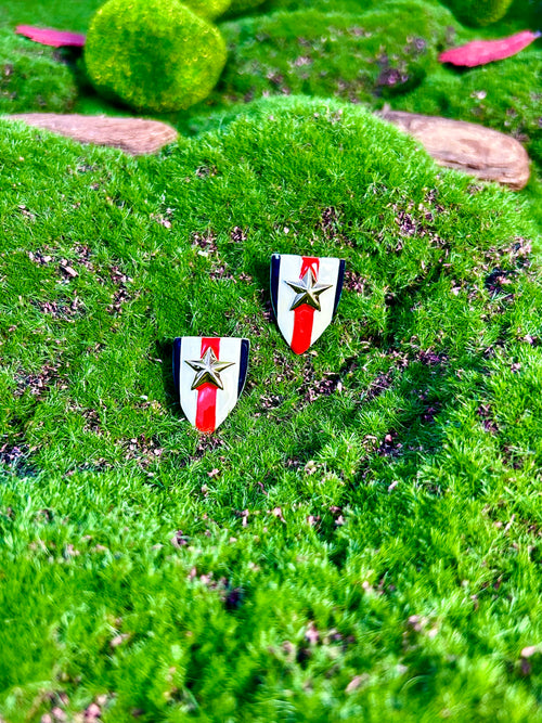 Starry Flag Pride Earrings
